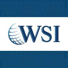 "WSI Professionals"