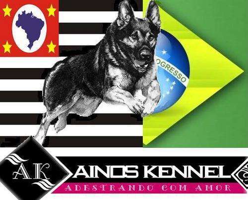 "Ainos Kennel Adestramento"