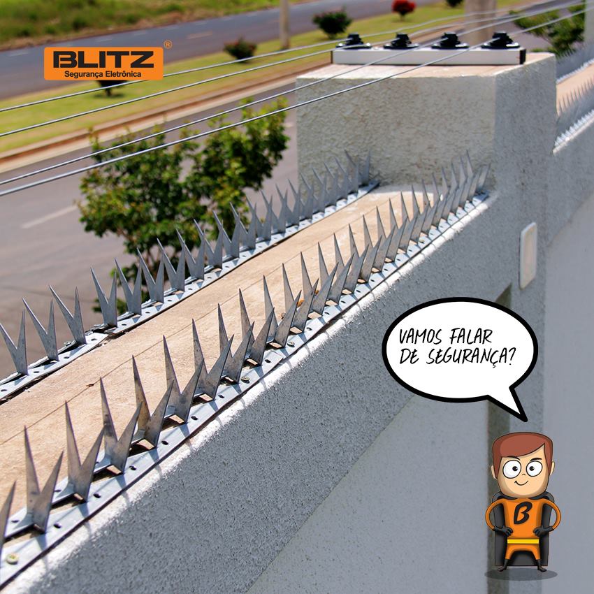 Blitz Segurança Eletrônica foto 5