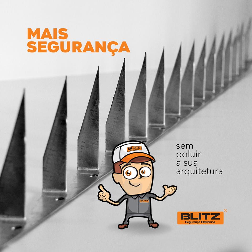 Blitz Segurança Eletrônica foto 3