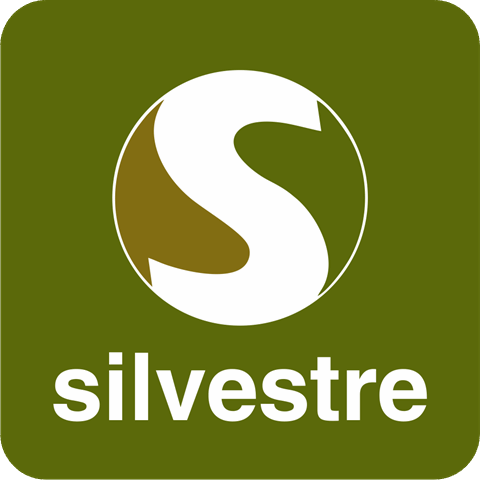 "silvestre seguros"