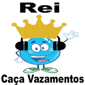 REI CAÇA VAZAMENTOS foto 1