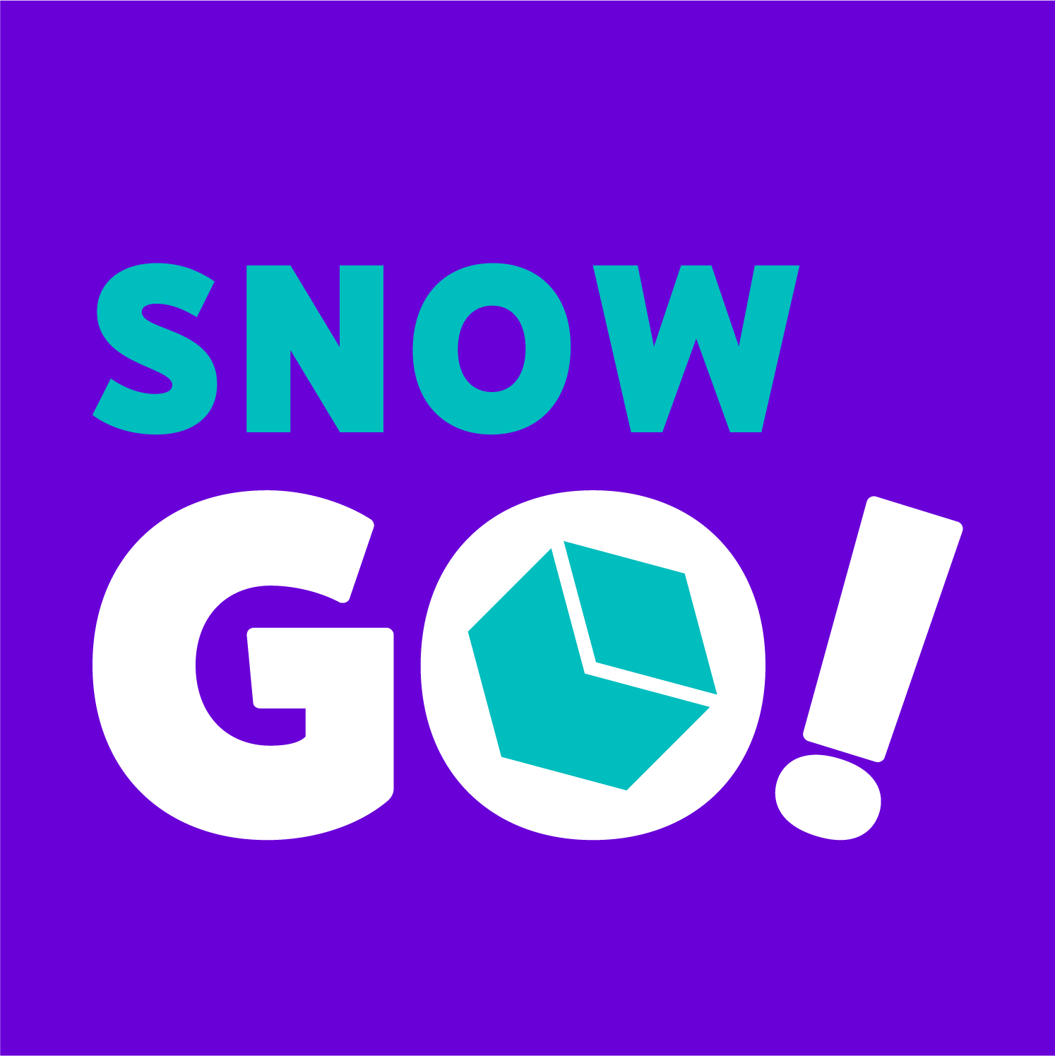 SnowGo - Gelo Delivery foto 1
