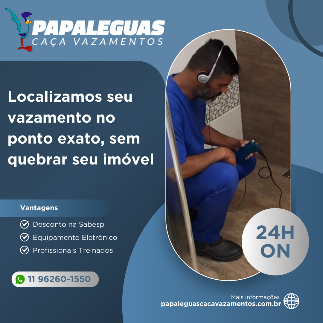 Papaleguas Caça Vazamentos foto 2