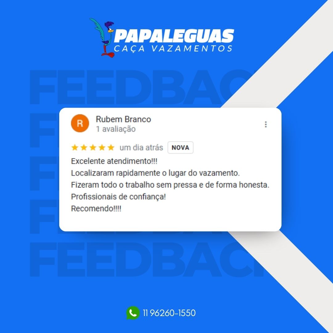 Papaleguas Caça Vazamentos foto 3