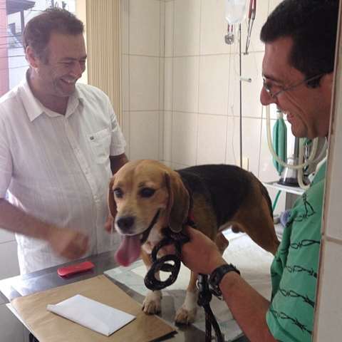 Imagens do Escola para Ces Pastorelli, bairro Jardim Miranda Daviz - Mau