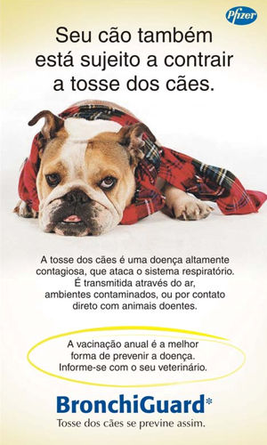 Imagens do Clnica Veterinria Pinheiros, bairro Pinheiros