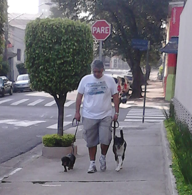 Imagens do Lopes Adestramento de Ces, bairro Tatuap